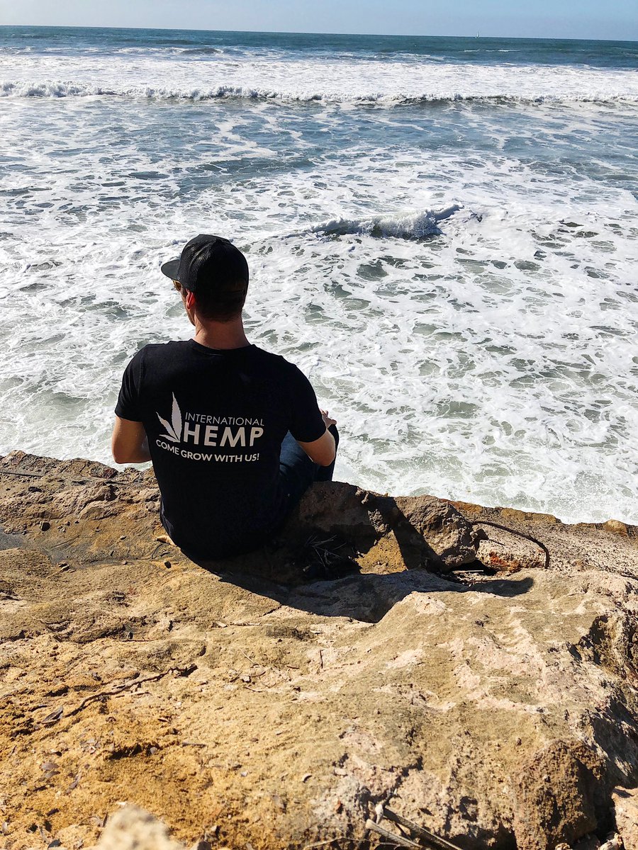 We want to partner with reputable seed dealers in California who are interested in being a regional distributor of our AOSCA certified grain and fiber industrial hemp seed varieties!