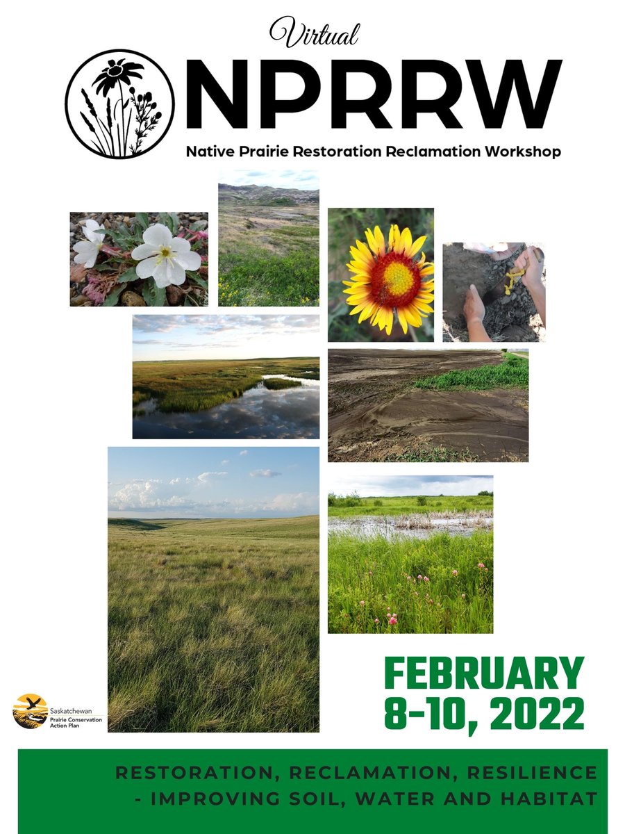 SaskPCAP's tweet photo. Registration for the 9th Native Prairie Restoration/Reclamation Workshop is OPENED! 
February 8-10, 2022 
Theme: Restoration, Reclamation, Resilience: Improving, Soil, Water and Habitat

This virtual event will include webinars, case studies &amp; more! 

https://t.co/SMN4VmXERy https://t.co/7Tn9wmZxUP