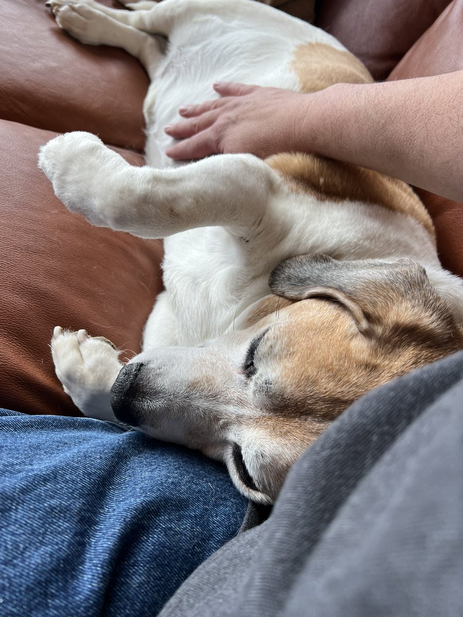 Kenny is getting to be an old man. He’s turning 14 this month.