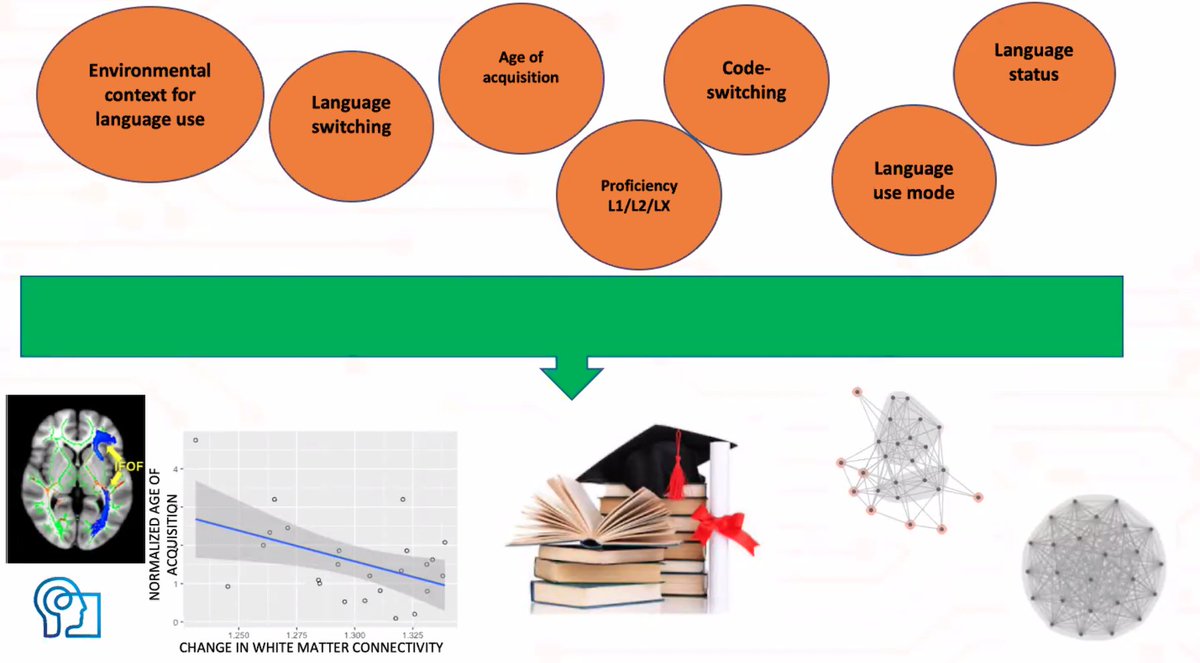 Cesar Rosales tweet media
