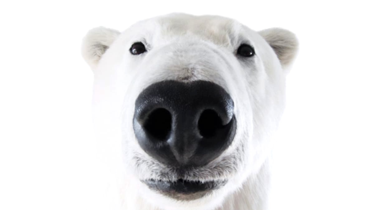 gray_0000000's tweet image. 