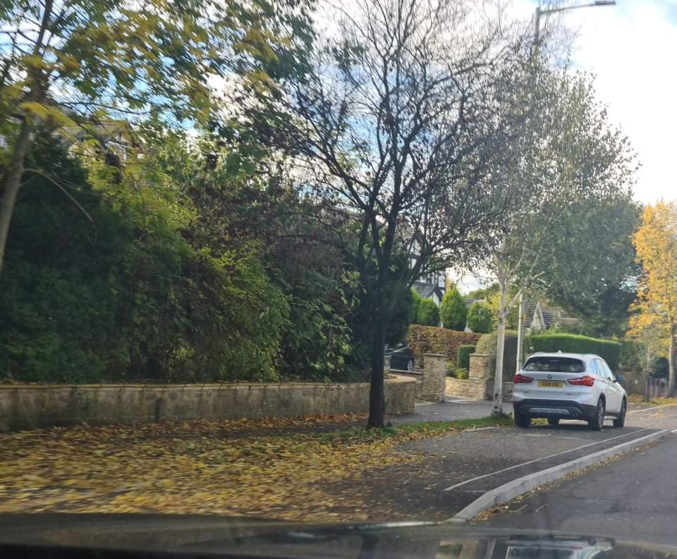 Local B Lines they've made the road narrow to make space so its now dangerous to cycle and made a cycle Puncture, Black Ice and Autumn leaves death path.   Which can be used for off street parking. <a href="/Chris_Boardman/">Chris Boardman CBE</a>