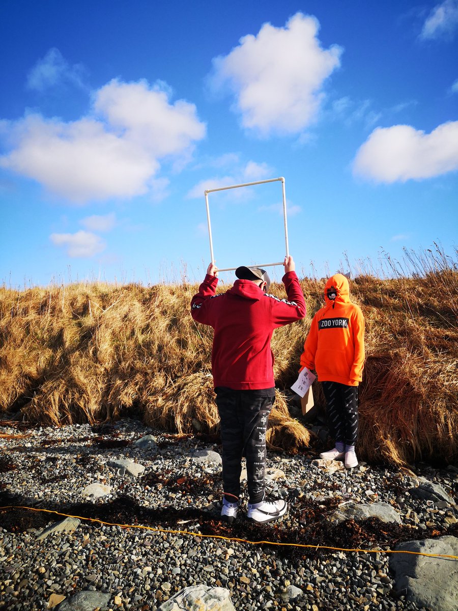 msabbottsma's tweet photo. Our students had a blast today with our first coastal monitoring expedition! Lots of #handsonlearning and #deeplearning taking place! We're so lucky to live on the coast! #OceanSTEM @NLESDCA @coastalXnl @karen_yetman @GlenW1968 @SMA_Mystic https://t.co/NV340LTV7R