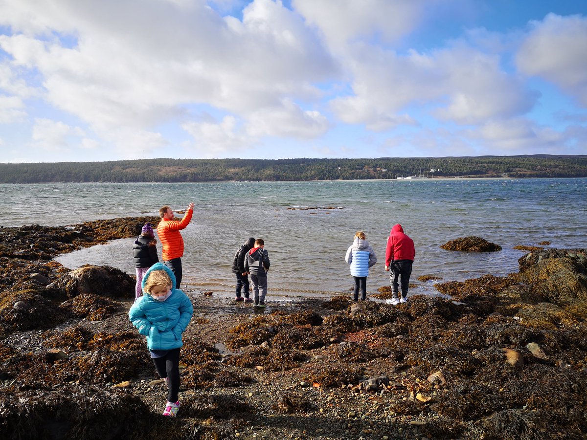 msabbottsma's tweet photo. Our students had a blast today with our first coastal monitoring expedition! Lots of #handsonlearning and #deeplearning taking place! We're so lucky to live on the coast! #OceanSTEM @NLESDCA @coastalXnl @karen_yetman @GlenW1968 @SMA_Mystic https://t.co/NV340LTV7R