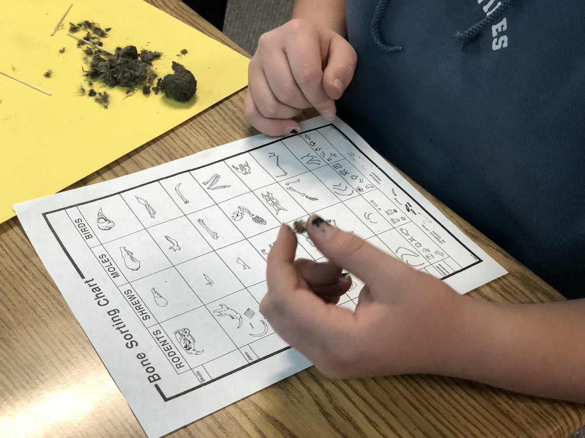 Ms V #5thgraderocks tweet media