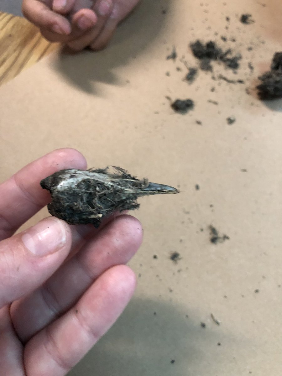 Ms V #5thgraderocks tweet media