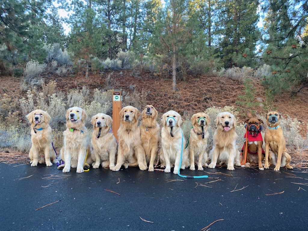 tschallb's tweet photo. @tonyposnanski West coast Golden crew https://t.co/4mslXyjqzU