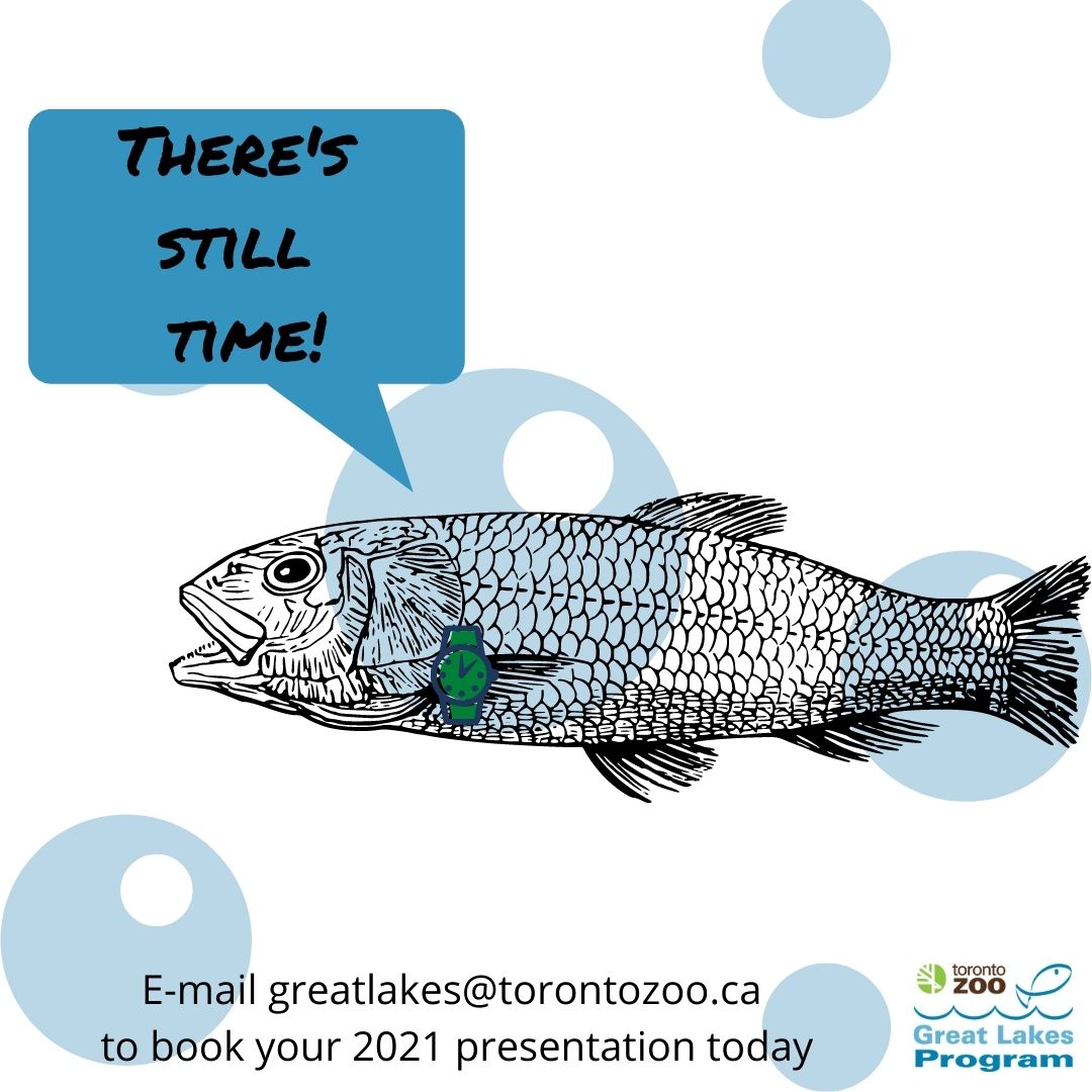 greatlakesprgm's tweet photo. Teachers!!! Can you believe it’s already November? 😱 Don’t despair - there’s still time and availability to book a FREE conservation presentation by one of our science educators. E-mail greatlakes@torontozoo.ca to book now, before the end of the semester! https://t.co/RMCrOVy3sf