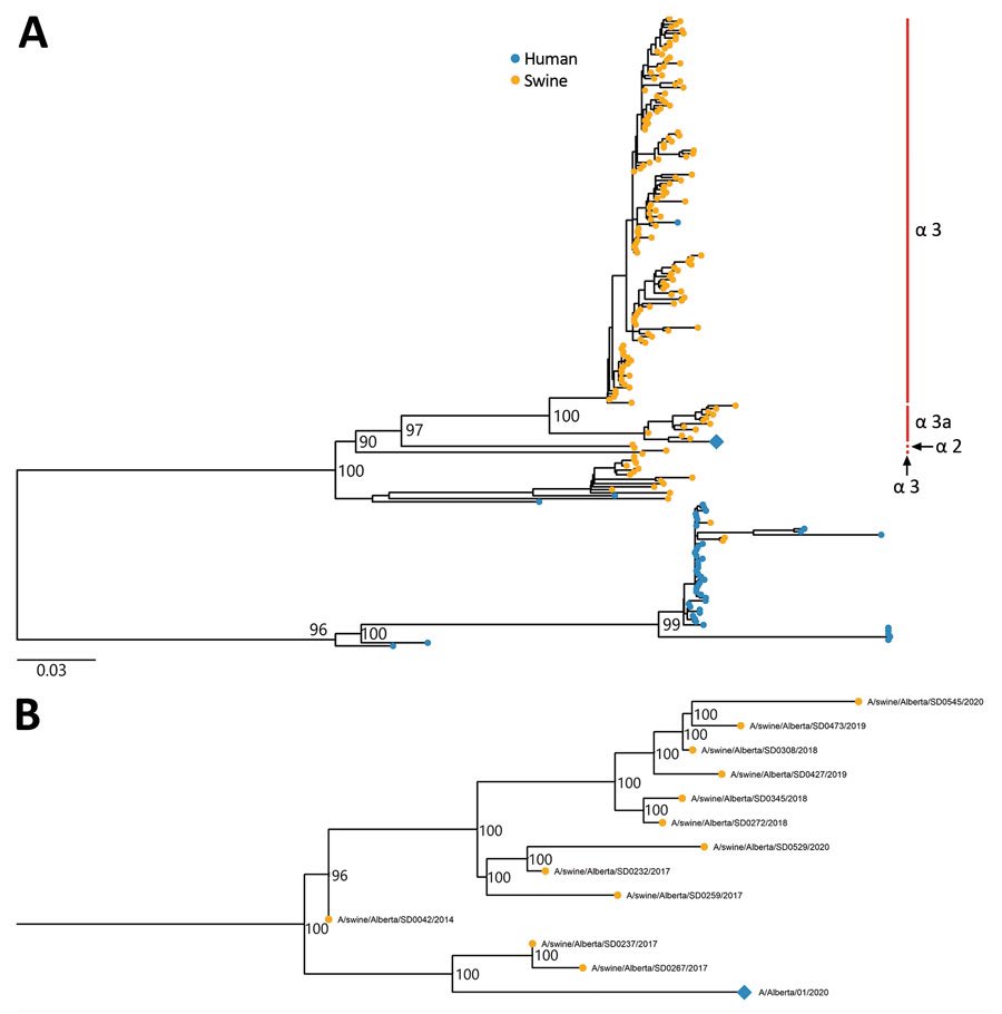 UofA Infectious Diseases tweet media