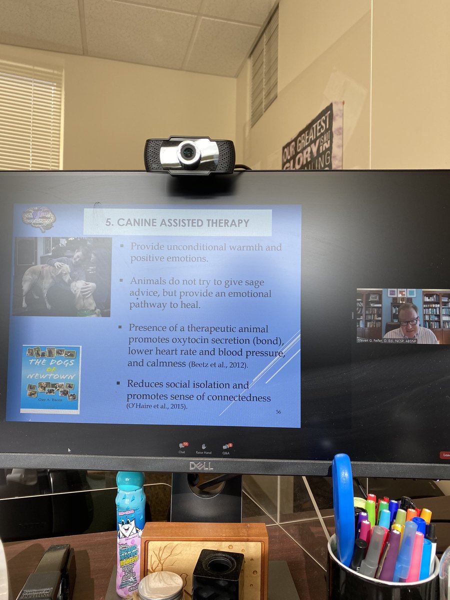 ChsClinical's tweet photo. Day 1 of #NYASP2021 &amp; there’s already so much to soak in! Starting with an awesome keynote speech from @_charlesbarrett followed by a crash course in neuroscience 🧠 So glad to see CHS already has this box checked with creating a trauma informed climate 🐕 https://t.co/4fegCkCHsk