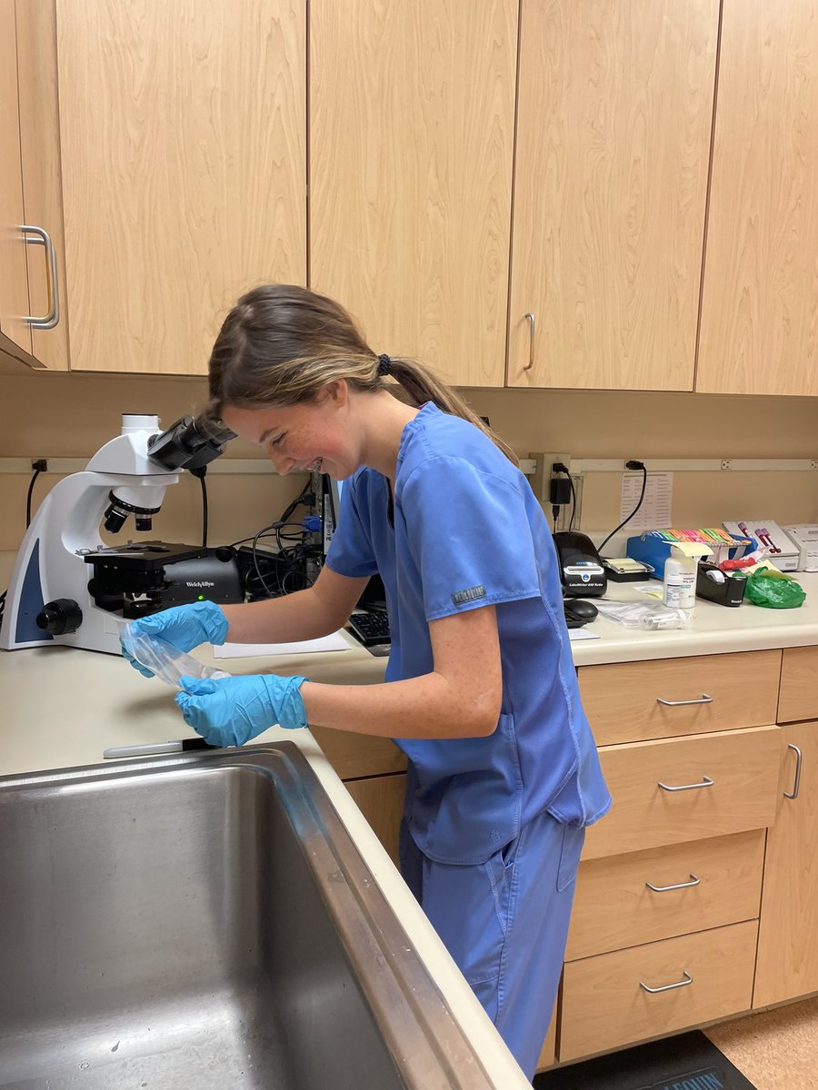 Love see my Mentorship students in action.  It’s not always puppies and kitties sometimes it’s just labeling fecal samples.  🤢 Megan is rocking those samples. #facs #obhs #clawsup #vetlife