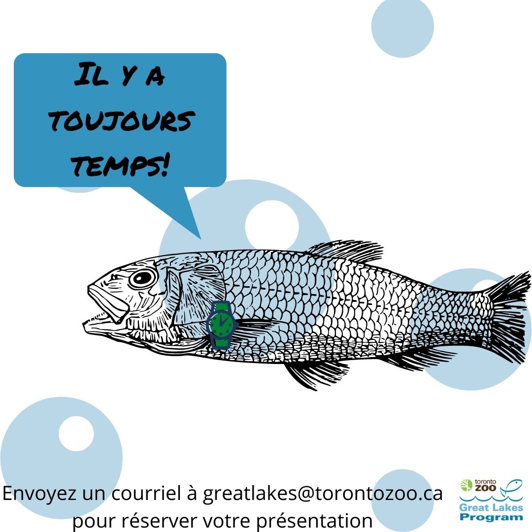 greatlakesprgm's tweet photo. Enseignant(e)s!!! Pouvez-vous croire que c'est déjà novembre? 😱 ll reste encore du temps pour réserver une présentation GRATUITE sur la conservation par l'une de nos éducatrices. Envoyez un courriel à greatlakes@torontozoo.ca pour réserver maintenant, avant la fin du semestre ! https://t.co/gUWF2NIoD9