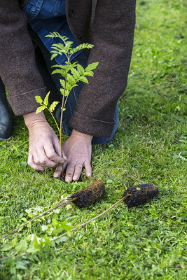 WTBridget's tweet photo. Really great to hear more about #SustainableAW at tonight's webinar with @adurandworthing. The @WoodlandTrust is already helping @treeactionuk locally with trees as part of #ClimateActionAW and we look forward to working with the Councils on wider woodland strategies. https://t.co/oGQOGwQXSv