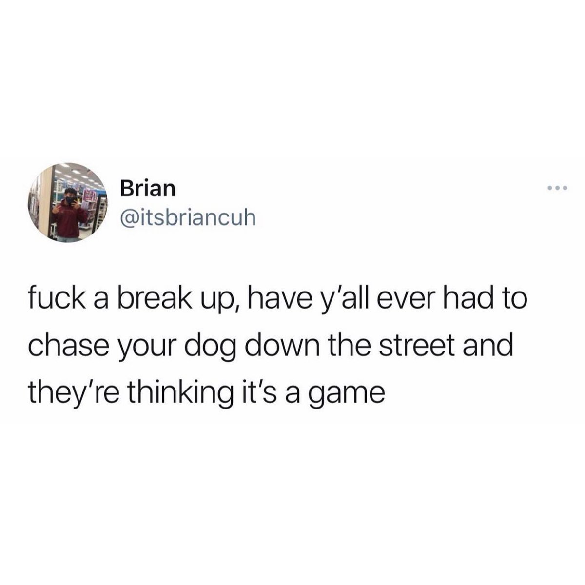 OfficialPLT's tweet photo. 🤣🐶 https://t.co/cqLQlZ3nuT