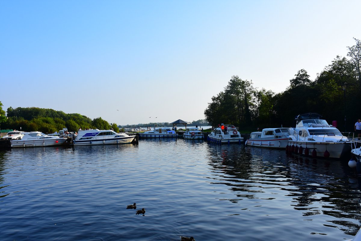 You're in good company when you take a cruise...Or if you fancy finding your own stretch of peace and quiet - there's more than enough river bank to escape to!  Plan your 2022 get-away bit.ly/3hJAr5p 
#makeabreakforit #boatingontheshannon #staycation #irishtourism