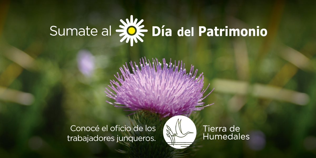 Quedan muy pocos cupos disponibles para repetir las visitas a los humedales este sabado 6, inscripciones en tierradehumedales.uy