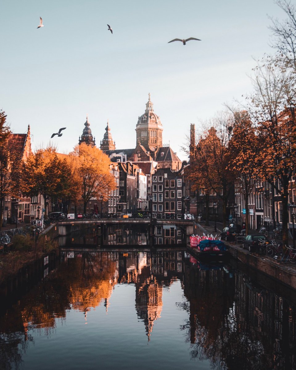 Autumn in Amsterdam 🍂 
Have you every visited our city this time of year?