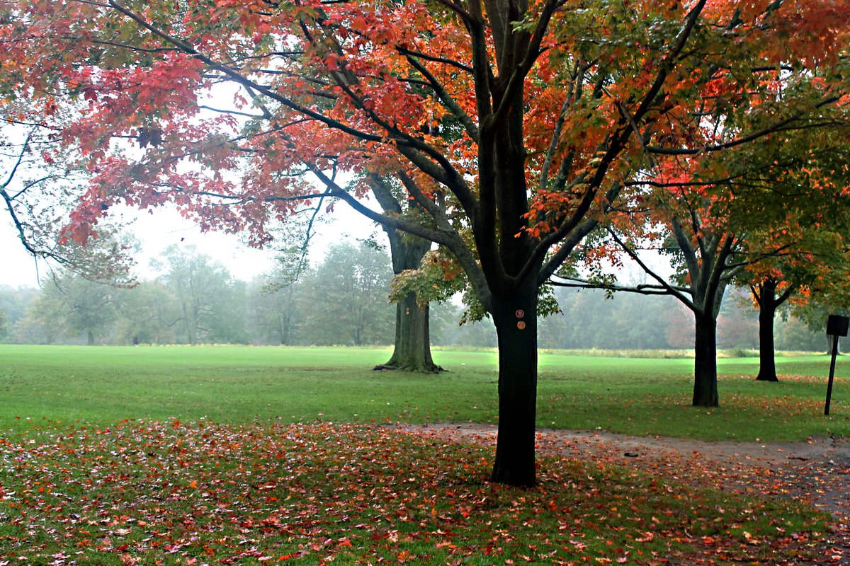 Torry Jones tweet media