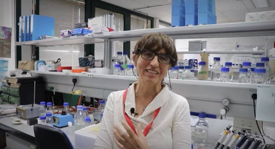 Centro Andaluz de Biología del Desarrollo tweet media