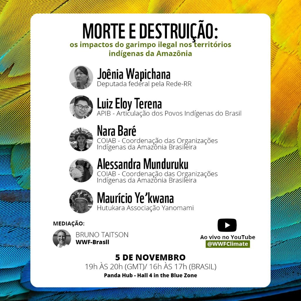 Maurício Ye'kwana (@myekwana) on Twitter photo 