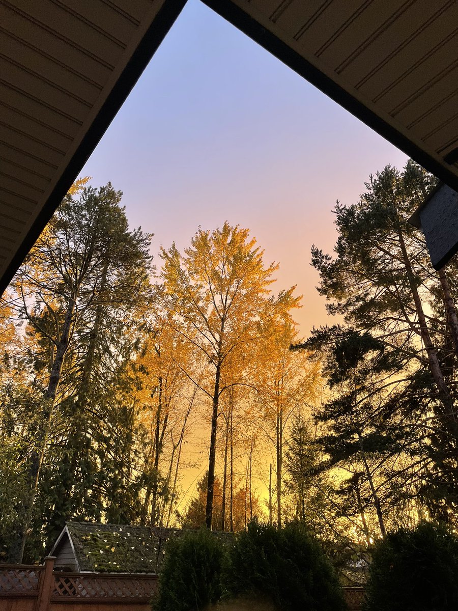 ember_vine's tweet photo. I’m taking this cool sky and rainbow as a good omen. 🌈 https://t.co/O9twrhQQLb