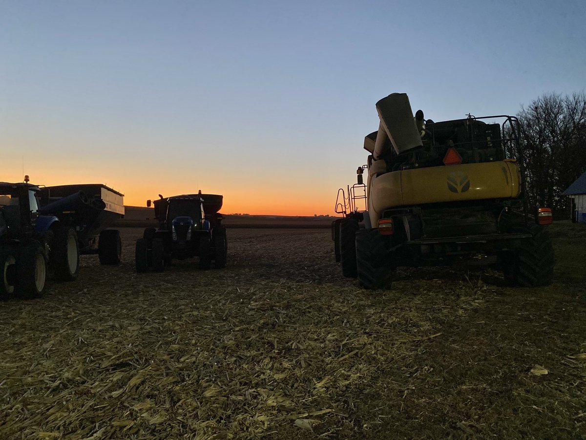 chelbehrends's tweet photo. Harvest 2021✅ https://t.co/kEGkDBq4dL