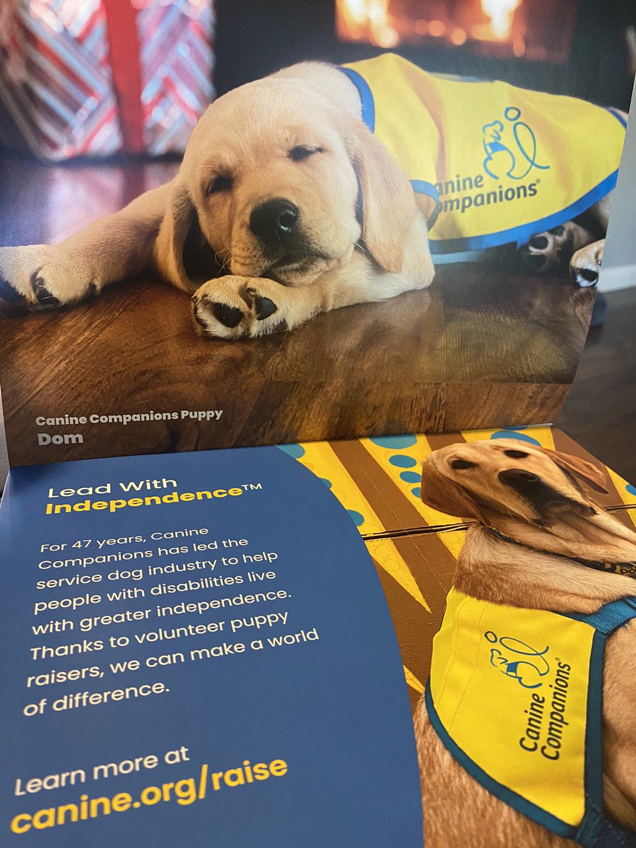 InDOMitablePup's tweet photo. I’m in the @canineorg calendar! You can get yours at https://t.co/wzZllC8Ht3 https://t.co/XuyRlFyvQN
