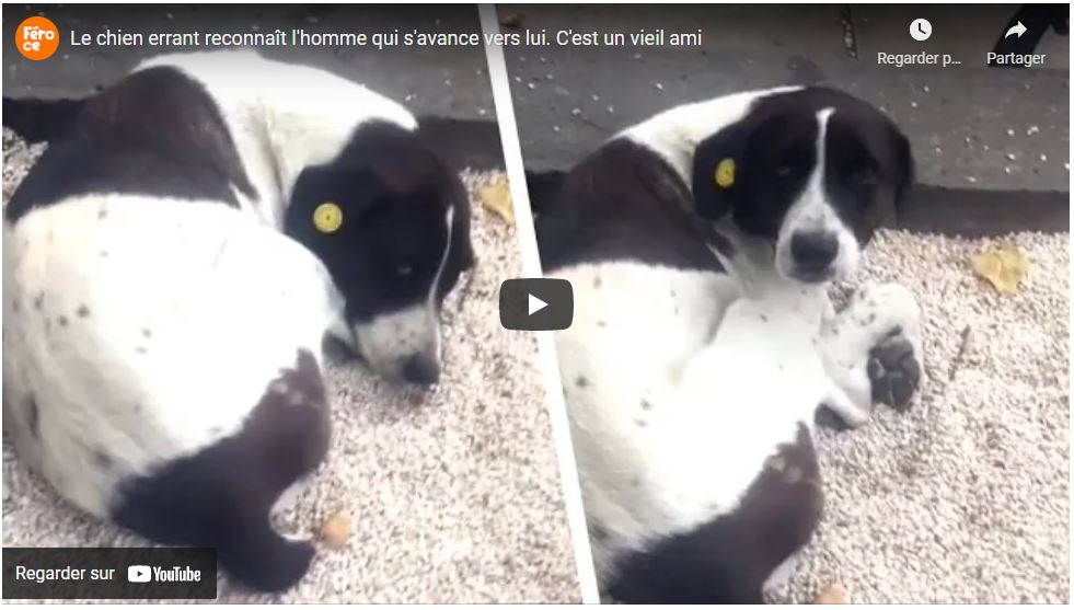 CHIC VIDEOBUZZ robinduchesne.systeme.io/chicvideobuzz-…