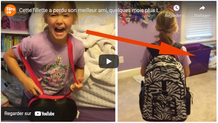 CHIC VIDEOBUZZ robinduchesne.systeme.io/chicvideobuzz-…