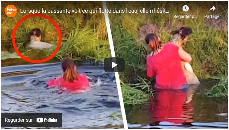 CHIC VIDEOBUZZ robinduchesne.systeme.io/chicvideobuzz-…