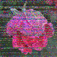 radionanny2k's tweet photo. Lots of noise, only one image was received tonight on 9265 kHz WINB 2330-2400 UTC in Cuenca, Ecuador.  Airspy HF+ Discovery, SDR++ v1.0.4, fldigi 4.1.20, YouLoop. @SWRadiogram https://t.co/DtQzOGXGVL