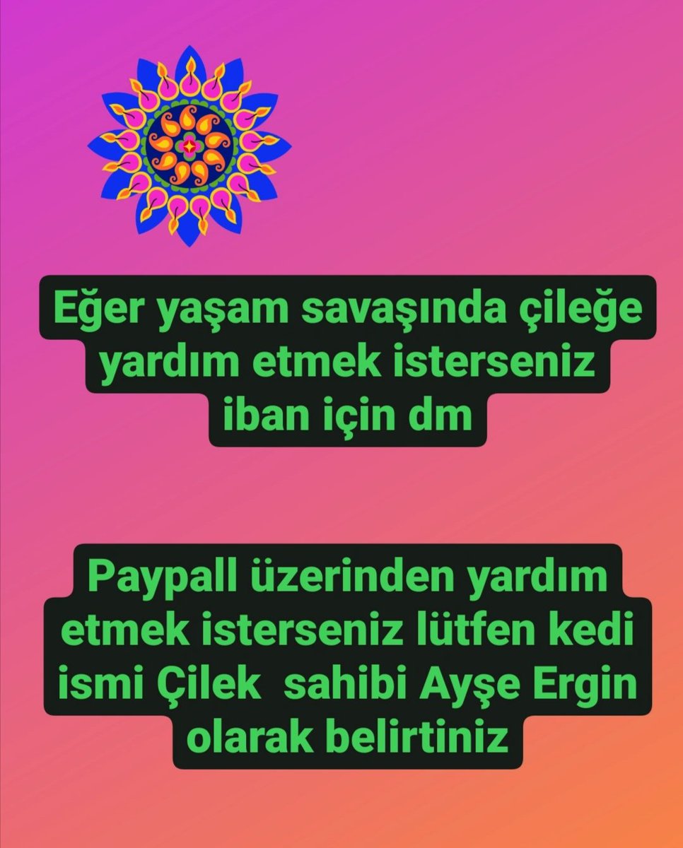 Çileğin 34 günü var onuda yaşatmak istermisiniz?

Cileks has only 34 days left in wet FIP ​​treatment Want to help the ordeal? To keep it alive?