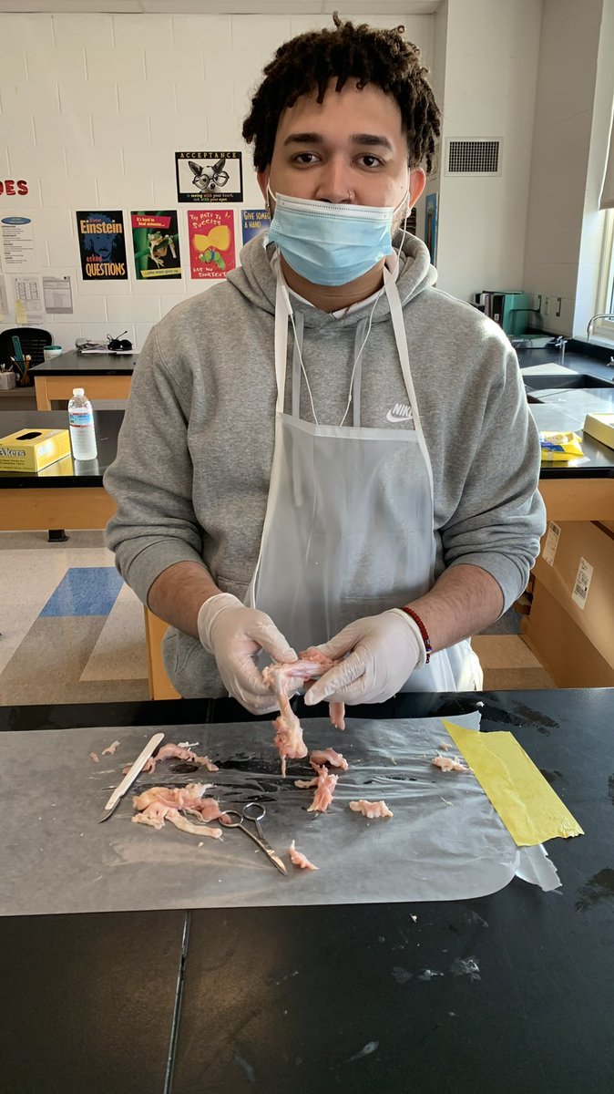 HLC_lps's tweet photo. HLC students dissected chicken wings in Mrs. Camarda’s Anatomy &amp; Physiology class. Students were able to explore how bones, ligaments, tendons and muscles work together to produce movement. They later applied that knowledge to understand the human arm. #futurescientists 🥼 https://t.co/Xd67REXCqE