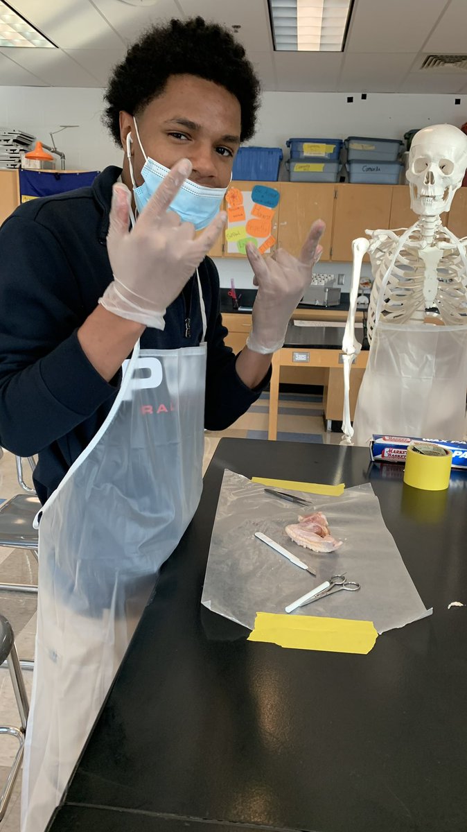 HLC_lps's tweet photo. HLC students dissected chicken wings in Mrs. Camarda’s Anatomy &amp; Physiology class. Students were able to explore how bones, ligaments, tendons and muscles work together to produce movement. They later applied that knowledge to understand the human arm. #futurescientists 🥼 https://t.co/Xd67REXCqE
