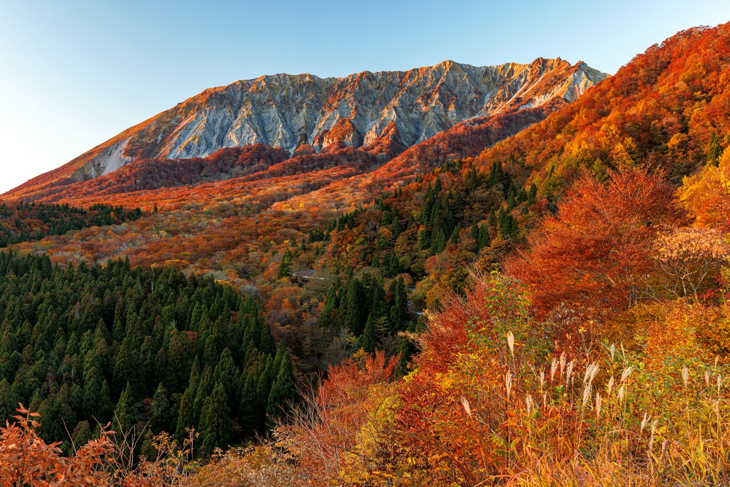 写真家 八木千賀子 Chikako Yagi 鍵掛峠からの大山 紅葉ピークのようです T Co ibhe9zry Twitter