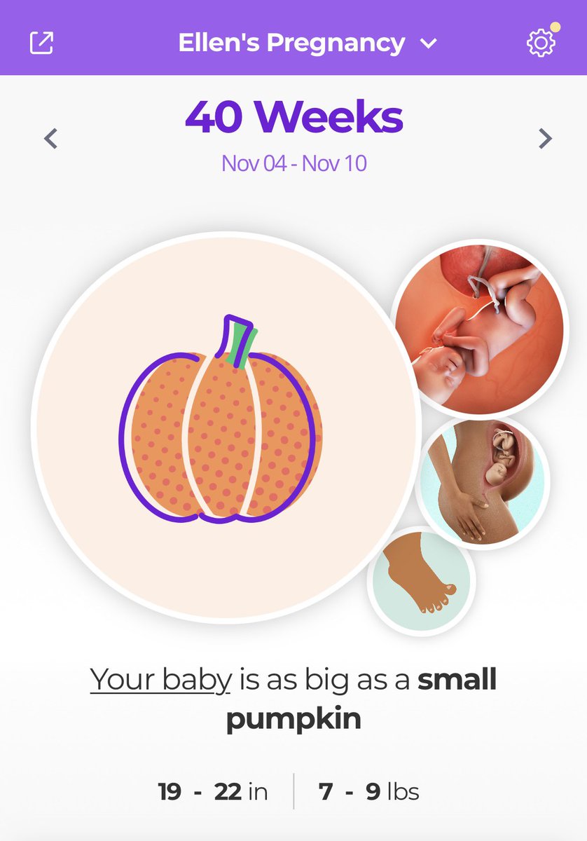 elleendg's tweet photo. I met Erik for the first time on November 4th, 2019 and my due date was supposed to be today, November 4th, 2021. Too crazy🥺 https://t.co/aOsUNeSGF5