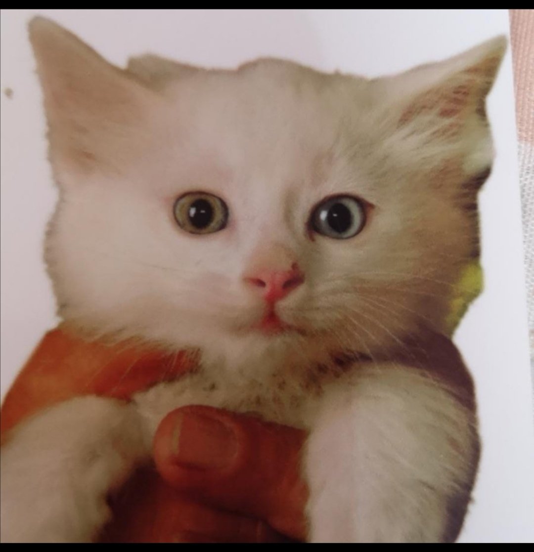 Çileği yaşatmak istermisiniz? #cilekmelekolmasın