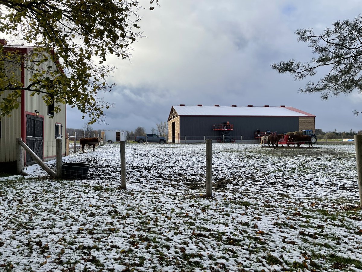 Next farm project is coming along quite nicely! Can’t wait to start storing some nice hay and growing some leafy greens. 
.
#farming #ontario #farmgirl #youngfarmers #futurefarming #agribusiness #agriculture