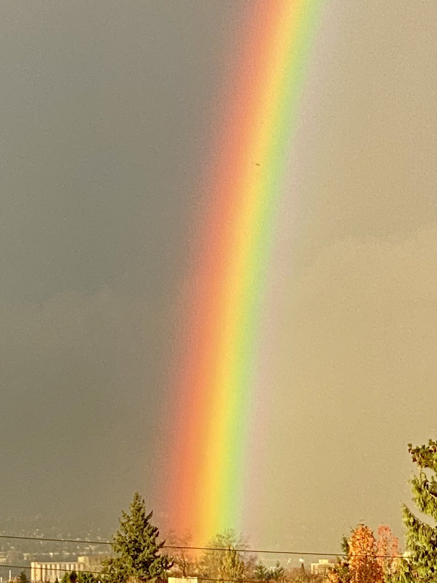 JWagstaffe's tweet photo. WHAT IS THIS SORCERY?? (aka light striking water droplets at the precise angle of 42 degrees) https://t.co/byxD6xMDKy