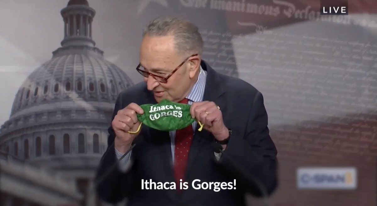 SenSchumer's tweet photo. Ithaca, New York under Mayor @SvanteMyrick is now the first city in the U.S. to begin 100% decarbonization of buildings!

They’re leading us to a greener and gorges future! https://t.co/AYhBCmApgO