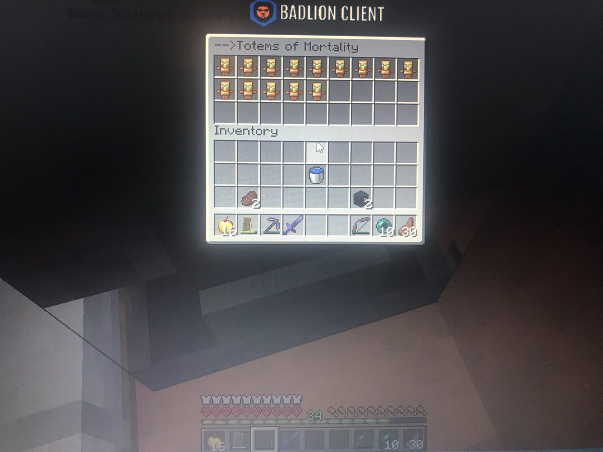 TrollerEst's tweet image. My totems in Hardcore😎 #Minecraft #TrollCore #totem