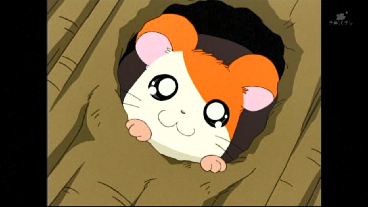 嘲笑のひよこ すすき 本日11月10日は声優の間宮くるみさん ハム太郎 ウサコッツ レオほか の誕生日 おめでとう 声優 サンレッド 天体戦士サンレッド はれときどきぶた Onepiece ワンピース とっとこハム太郎 間宮くるみ生誕祭 間宮くるみ 嘲笑のひよこ すすき 本日11月10日は声優の間宮くるみさん ハム太郎 ウサコッツ レオほか の誕生日 おめでとう 声優 サンレッド 天体戦士サンレッド はれときどきぶた Onepiece ワンピース とっとこハム太郎 間宮くるみ生誕祭 間宮くるみ