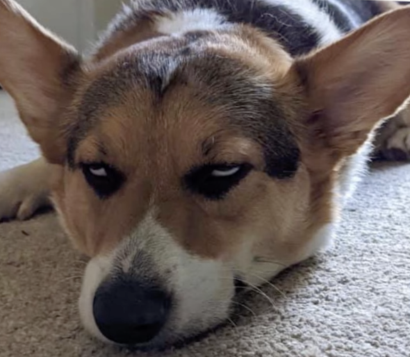 Watch Facebook's leaked NSFW photo on TwXstars