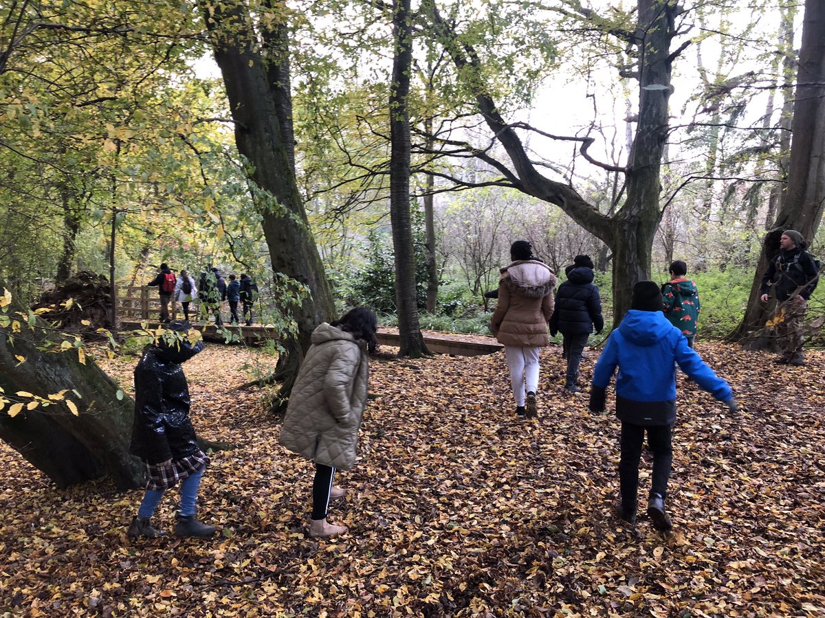 Afternoon walks in nature. There was some great noticing of fungi and patterns in tree trunks. 🌲 🍄 🍁