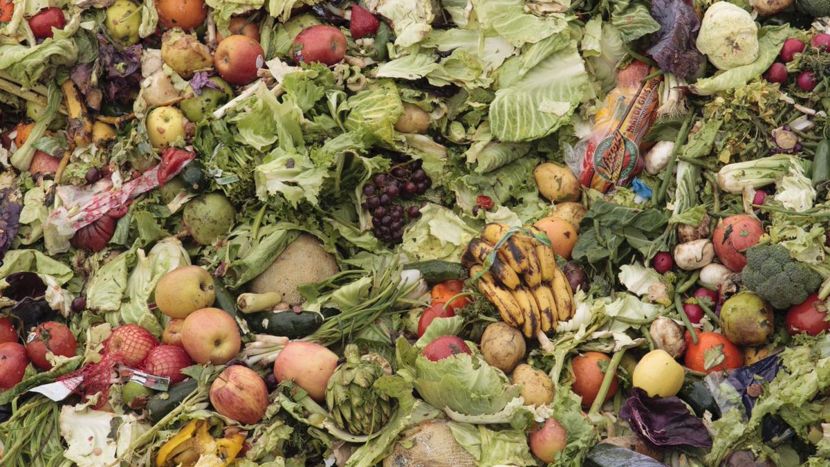 Food waste is a global problem &amp; <a href="/ucdfst/">UCDavis Food Sci</a> Assoc. Prof. Ned Spang is part of a $15 million 5-year project funded by <a href="/NSF/">U.S. National Science Foundation</a> to create the first national academic research network on wasted food. 

The goal: Gather data &amp; devise solutions to reduce food waste. caes.ucdavis.edu/news/uc-davis-…