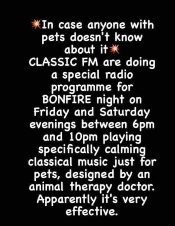 Lauz4Romeo's tweet photo. #Fireworks #ukpets https://t.co/d4ET0WVHZs