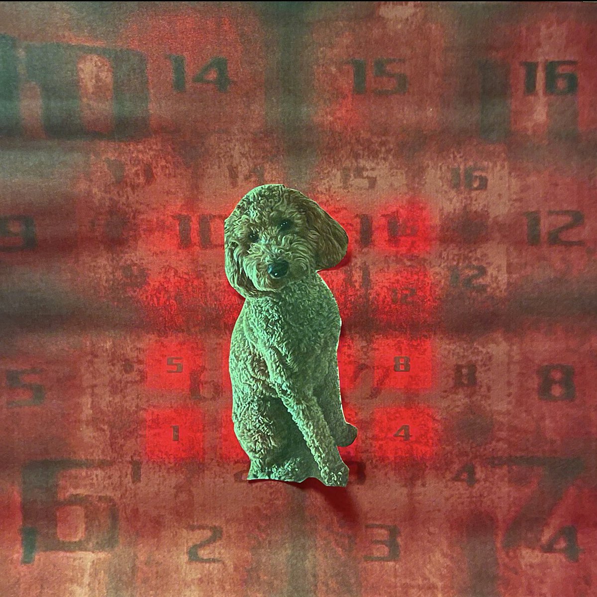 💿 RADO 💿 tweet media