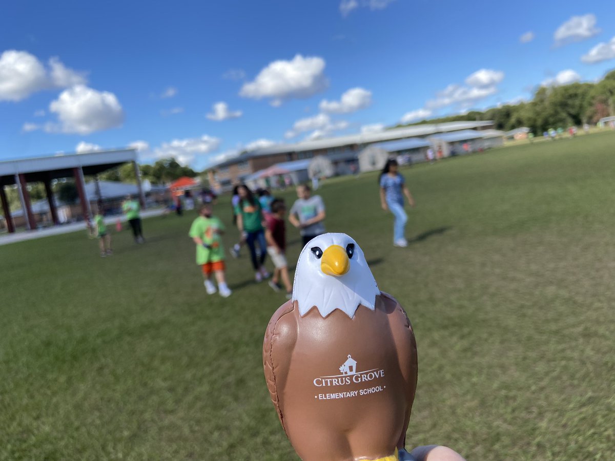 kmevans3's tweet photo. Guess who’s back… back again? Squeagle’s back taking pictures with friends! It was a sunny day @CitrusGrove_VCS and Squeagle couldn’t resist joining in on the Walk A Thon sponsored by @PtaGrove. A fun time was had by all! #cgesqueagle #cgeeagles #squeagleadventures https://t.co/NWoGGBpela