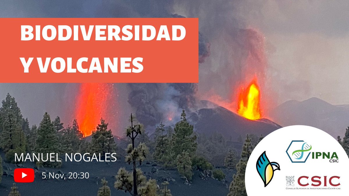 BiodiverSiTal's tweet photo. La otra recomendación en #PaliqueDivulgativo #PD02:

Entrevista a uno de los hombres del momento. Biólogo, naturalista y actual delegado del CSIC en Canarias nos va a contar su experiencia durante un mes y medio estudiando la biodiversidad de La Palma. https://t.co/IcNUP1lGDQ