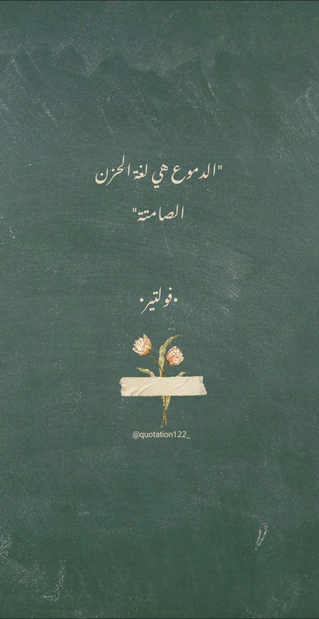 ���� ���� ������ �� ���� ������